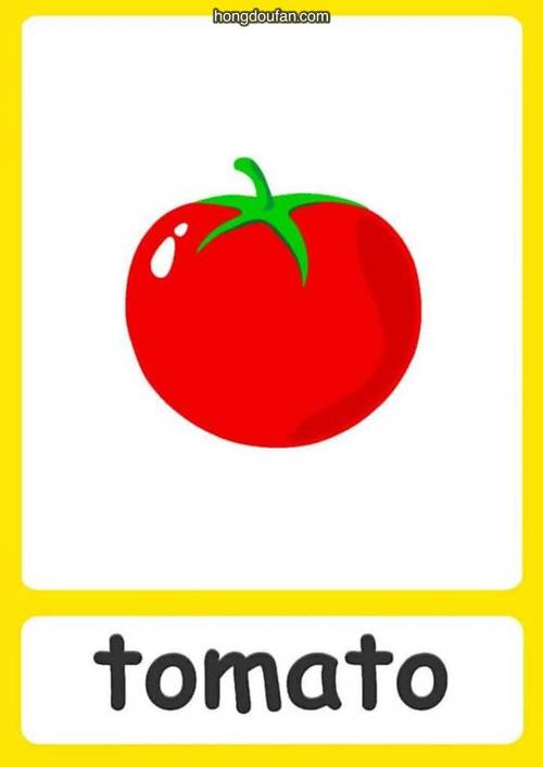 西红柿的英文
