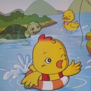 鸡学游泳